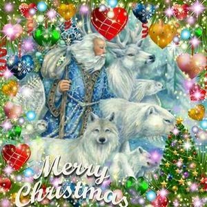 Meet your Posher, Sandy